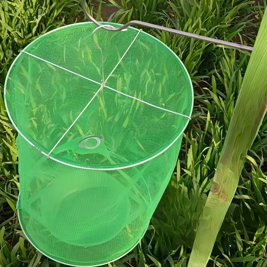 Stabilna pułapka na muchy