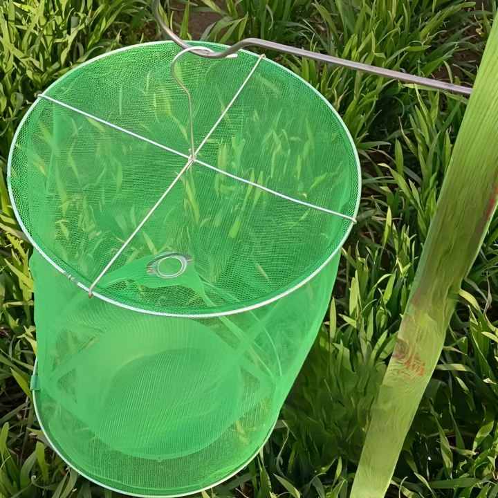 Stabilna pułapka na muchy