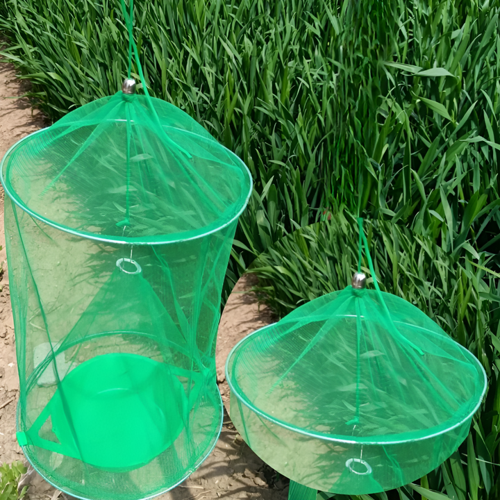 Stabilna pułapka na muchy