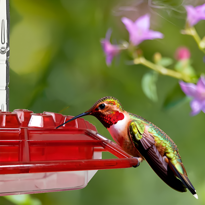 Karmnik dla kolibrów odporny na mrówki