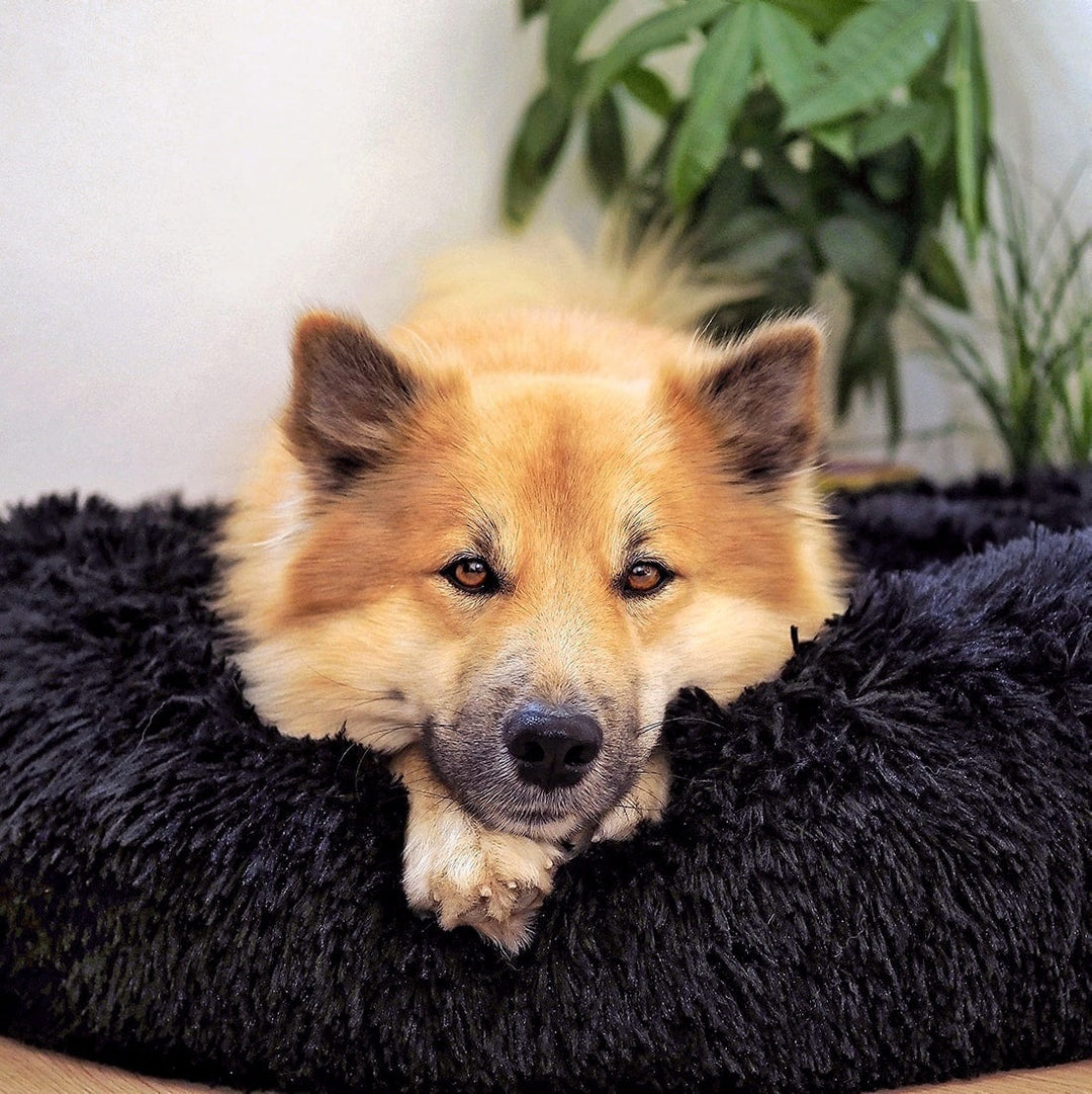Legowisko dla psa Fluffy Plus – oryginał