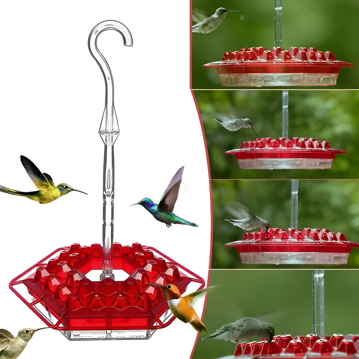 Karmnik dla kolibrów odporny na mrówki