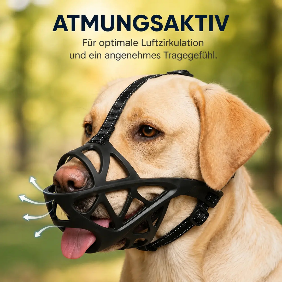 Kaganiec dla psa | Oddychający i regulowany do treningu i codziennego użytku