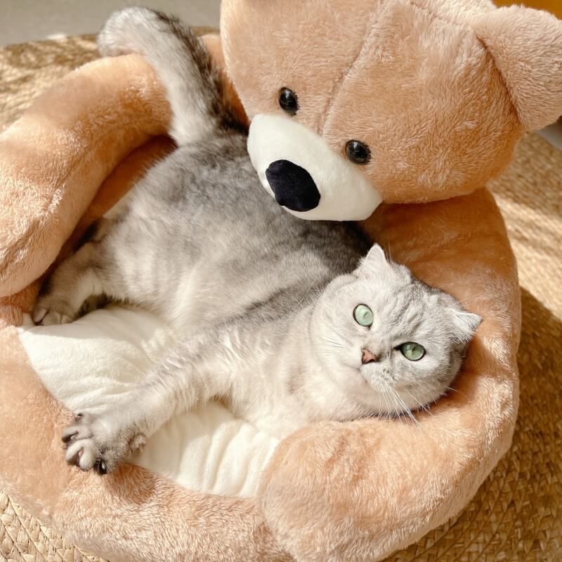 Regulowany Miś do Przytulania – SnuggleBear