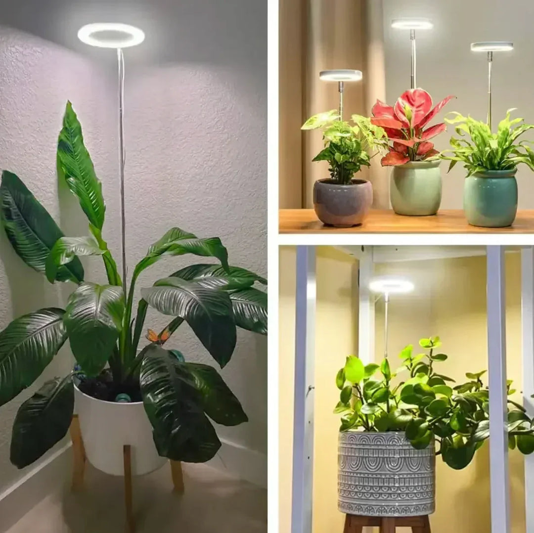 Lampa LED do roślin o pełnym spektrum z timerem i funkcją ściemniania