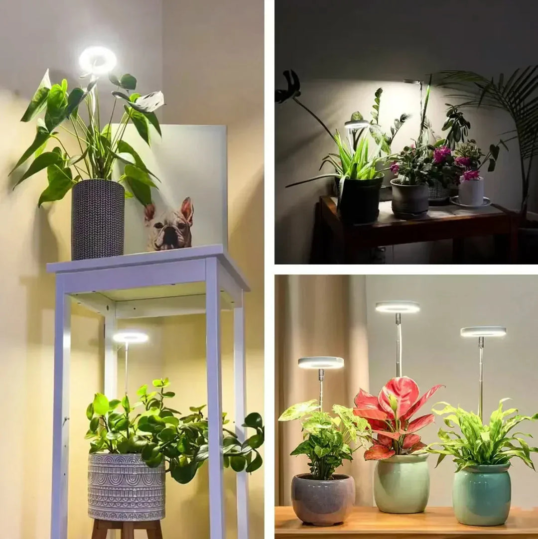 Lampa LED do roślin o pełnym spektrum z timerem i funkcją ściemniania