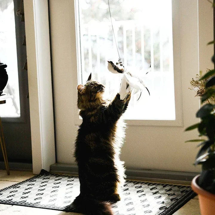Interaktywna zabawka dla kotów - FlutterFriend