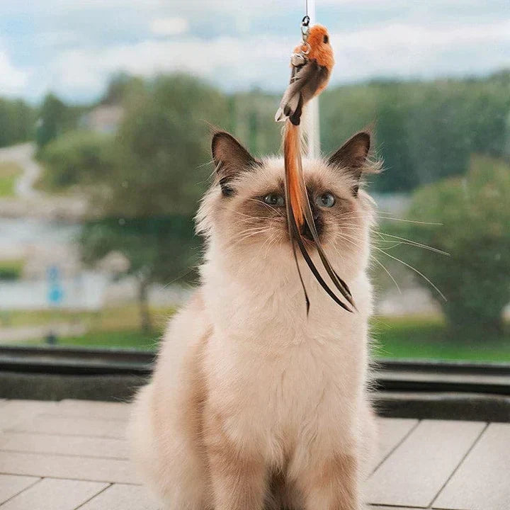 Interaktywna zabawka dla kotów - FlutterFriend