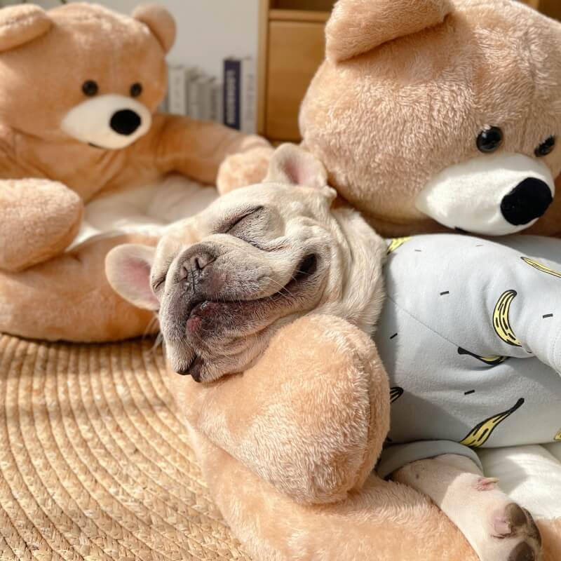 Regulowany Miś do Przytulania – SnuggleBear