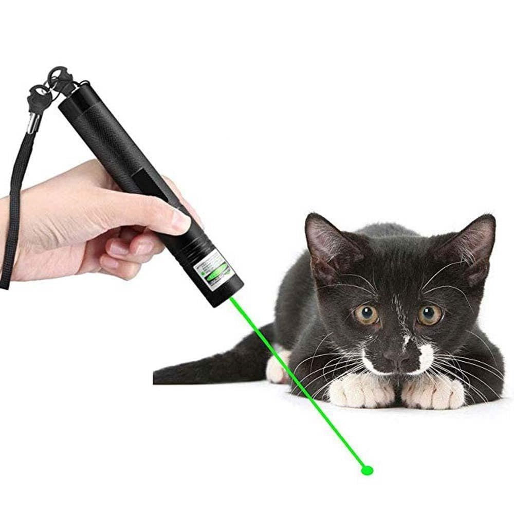 RegalBeam Precision Laser | Jasny Zielony Laser do Profesjonalnych Prezentacji i Użytku Zewnętrznego