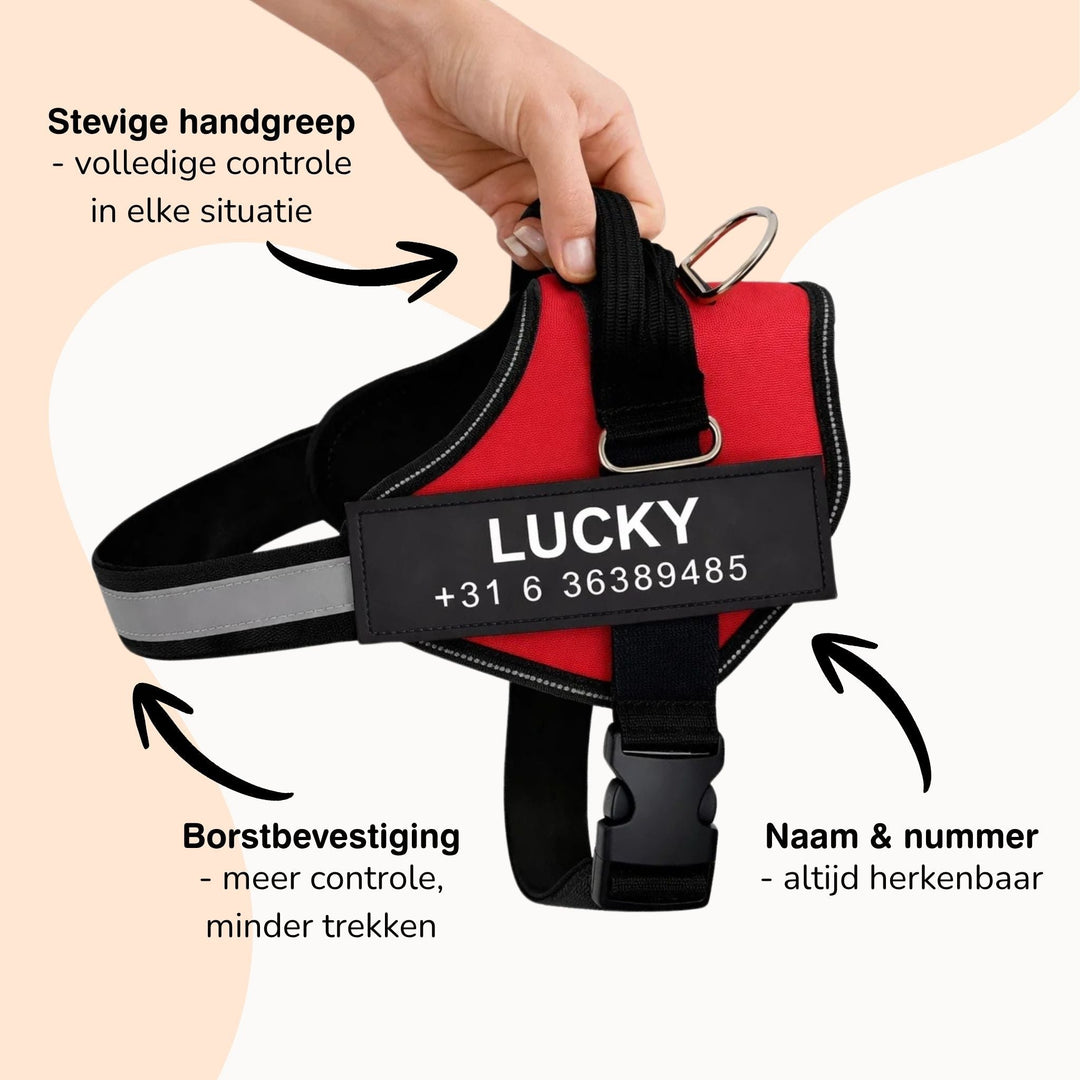 Personalizowane szelki dla psa – odblaskowy i podtrzymujący design