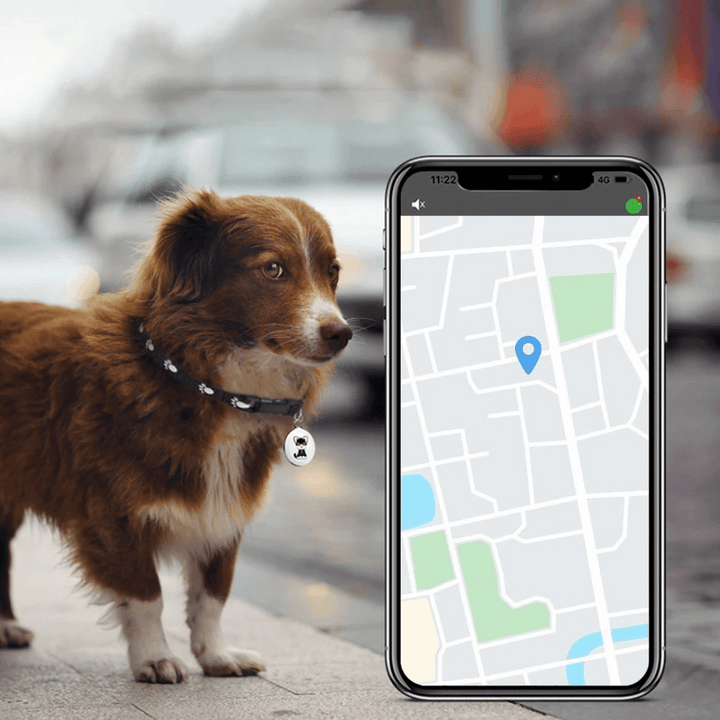 Lokalizator GPS dla zwierząt - psy i koty - Android i iOS
