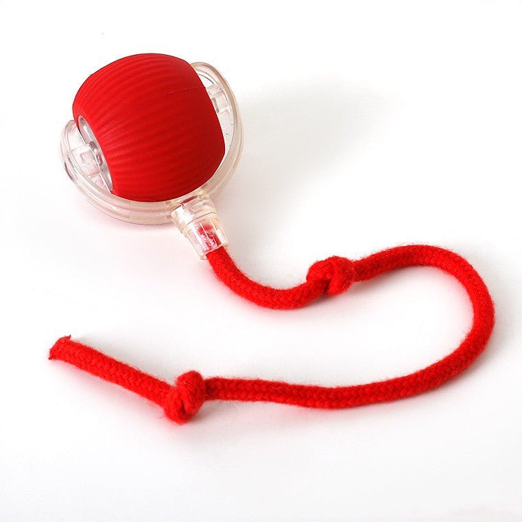 ChaseBall interaktywna zabawka do ścigania dla psów i kotów - LED, USB