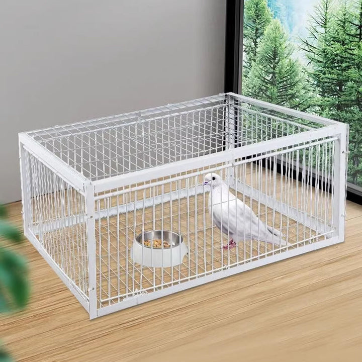 Łagodna pułapka na ptaki z mechanizmem uniemożliwiającym ucieczkę – pułapka BirdSafe