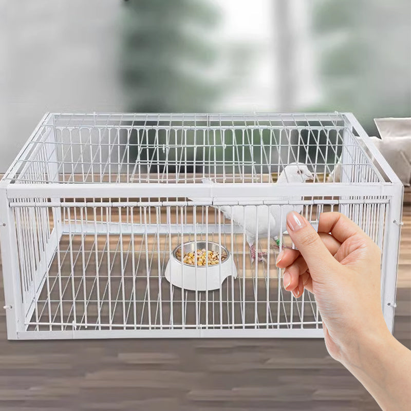 Łagodna pułapka na ptaki z mechanizmem uniemożliwiającym ucieczkę – pułapka BirdSafe