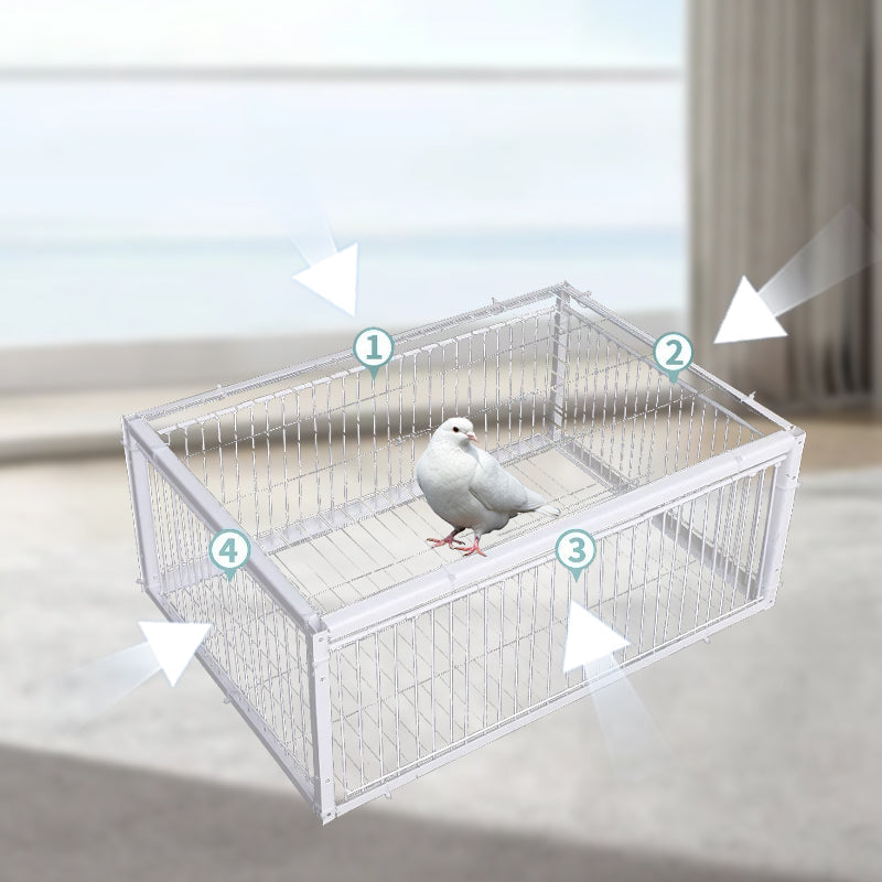 Łagodna pułapka na ptaki z mechanizmem uniemożliwiającym ucieczkę – pułapka BirdSafe