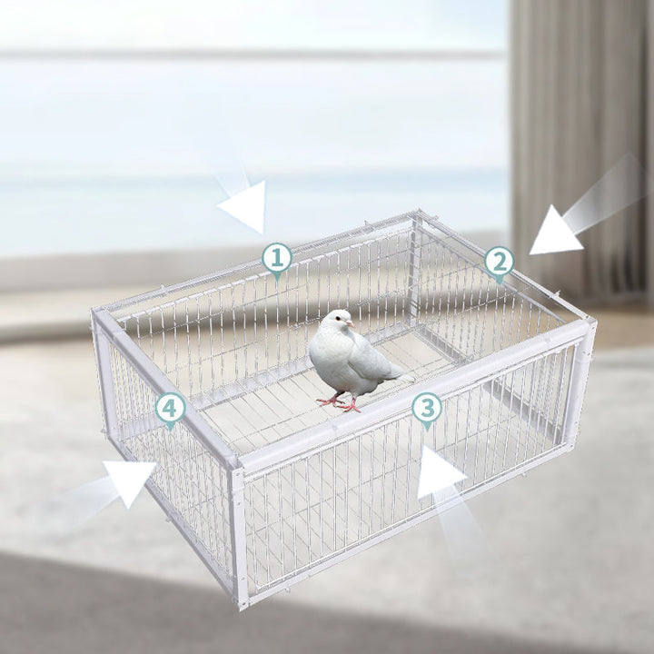 Łagodna pułapka na ptaki z mechanizmem uniemożliwiającym ucieczkę – pułapka BirdSafe