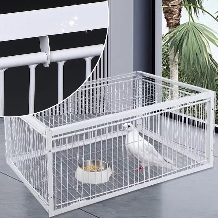 Łagodna pułapka na ptaki z mechanizmem uniemożliwiającym ucieczkę – pułapka BirdSafe