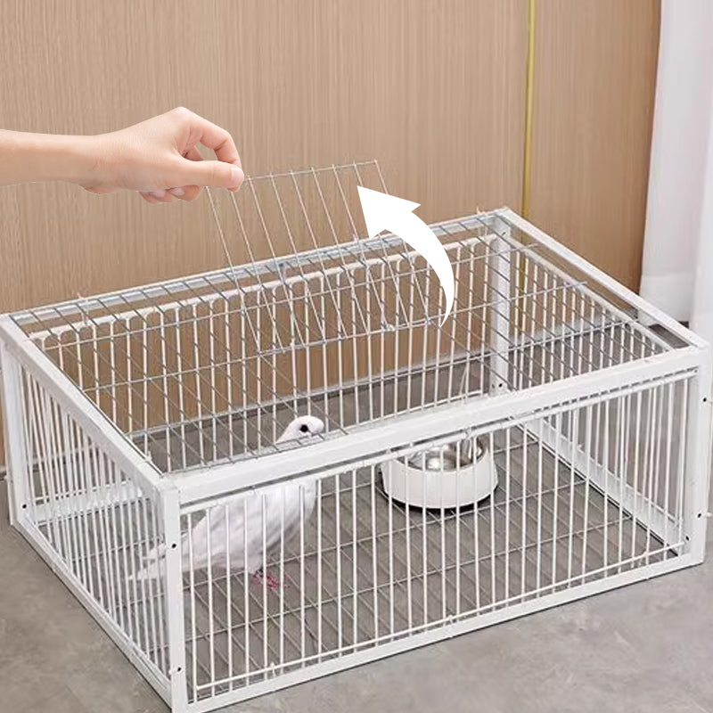 Łagodna pułapka na ptaki z mechanizmem uniemożliwiającym ucieczkę – pułapka BirdSafe
