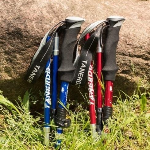 Kije trekkingowe teleskopowe – TrailMaster